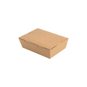 Paper lunch box