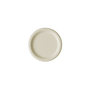 Bagasse plate