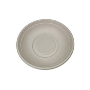 Bagasse bowl with PET lid