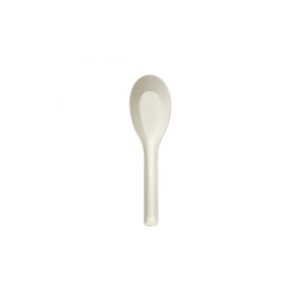 CHINESE SPOON